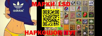 гидра Можга