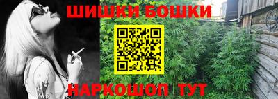 гидра Можга