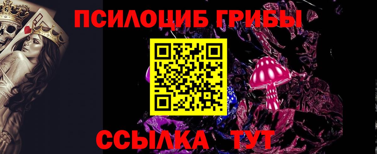 Галлюциногенные грибы Psilocybe Ступино
